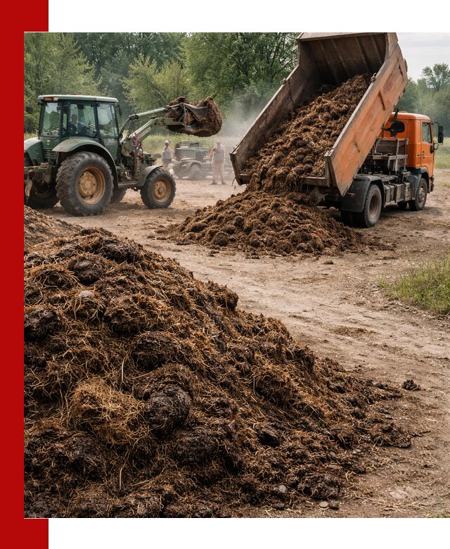 Доставка навоза самосвалами в Отрадном для сельхозпотребностей